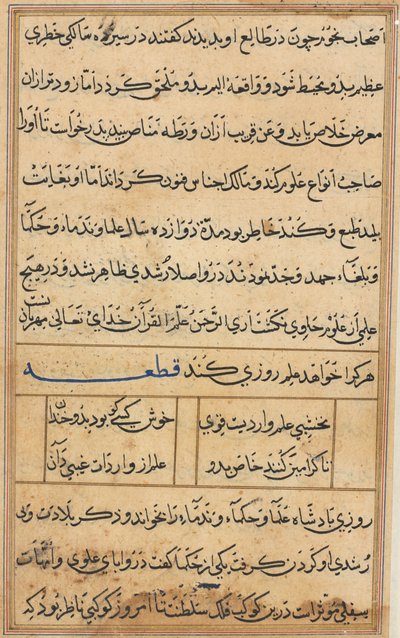Stránka z Příběhů papouška Tuti-nama: textová stránka, c. 1560. od Unbekannt