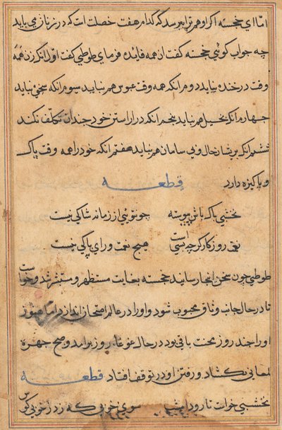 Stránka z Příběhů papouška Tuti-nama: textová stránka, c. 1560. od Unbekannt