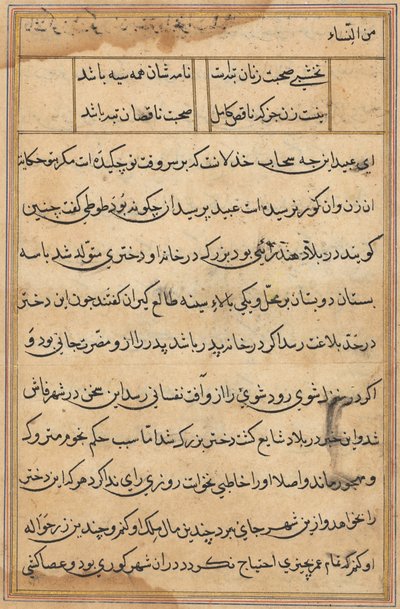 Stránka z Příběhů papouška Tuti-nama: textová stránka, c. 1560. od Unbekannt