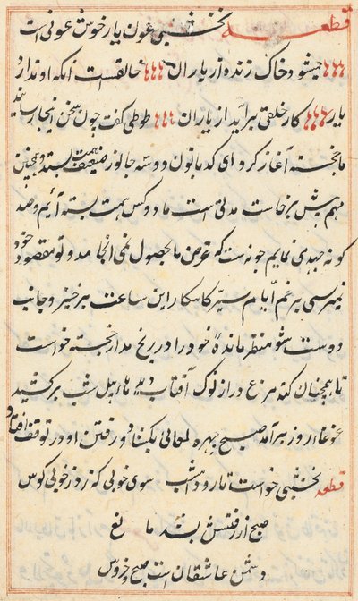 Stránka z Příběhů papouška Tuti-nama: textová stránka, c. 1560. od Unbekannt