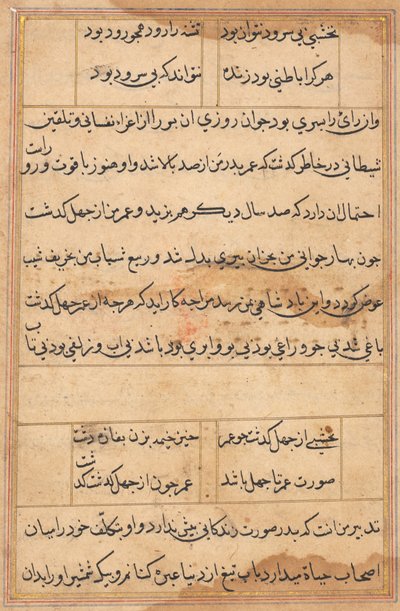 Stránka z Příběhů papouška Tuti-nama: textová stránka, c. 1560. od Unbekannt