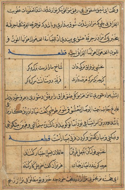Stránka z Příběhů papouška Tuti-nama: textová stránka, c. 1560. od Unbekannt