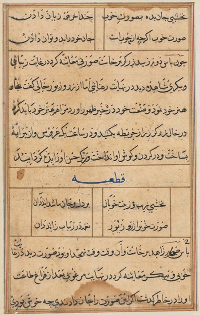 Stránka z Příběhů papouška Tuti-nama: textová stránka, c. 1560. od Unbekannt