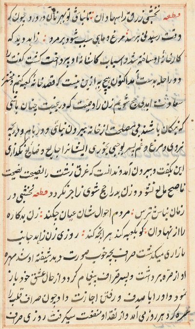 Stránka z Příběhů papouška Tuti-nama: textová stránka, c. 1560. od Unbekannt