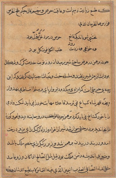 Stránka z Příběhů papouška Tuti-nama: textová stránka, c. 1560. od Unbekannt