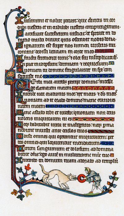 Strana zdobeného textu, 1284-1316 od Unbekannt
