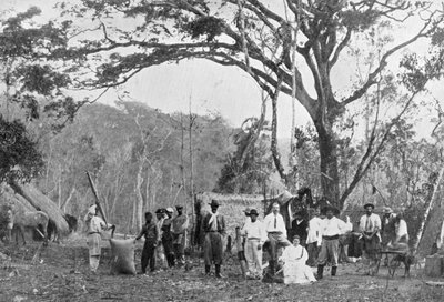 Paraguayské čajové shromáždění, Paraguay, 1911 od Unbekannt