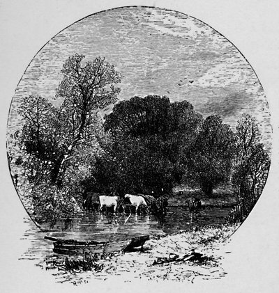 Mír a hojnost, 1883 od Unbekannt