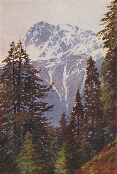 Vrchol v Himalájích, 1924 od Unbekannt