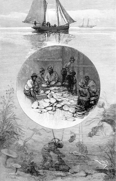 Pearl Fishery, Torresův průliv, Austrálie, 1886 od Unbekannt