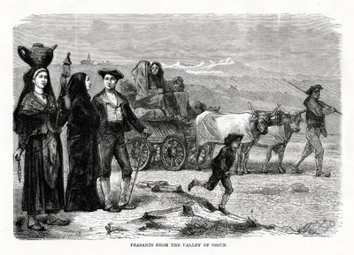 Rolníci z údolí Ossun, Francie, 1879 od Unbekannt