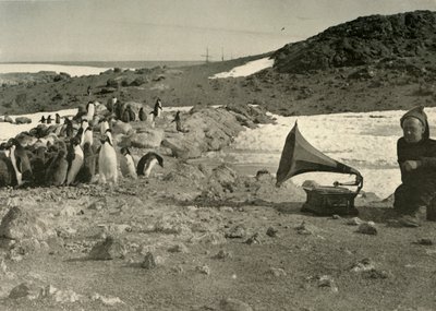Tučňáci poslouchají gramofon v létě 1908, 1909 od Unbekannt