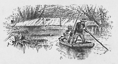 Lov okounů na jezeře, 1883 od Unbekannt