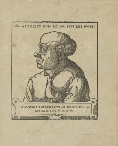 Philippus Theophrastus Aureolus Bombastus von Hohenheim Paracelsus, asi 1538. od Unbekannt
