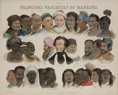 Fyziognomie „Základní odrůdy lidstva“, 3. května 1850 od Unbekannt