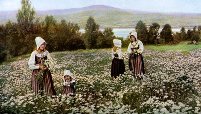 Sbírání květin na louce poblíž Leksand, Švédsko, c1923 od Unbekannt