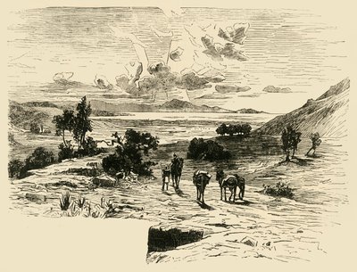 Plain of Marathon, 1890. od Unbekannt
