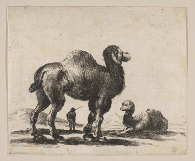 Deska 17: velbloudi, z Různých zvířat Diversi animali, po roce 1641. od Unbekannt