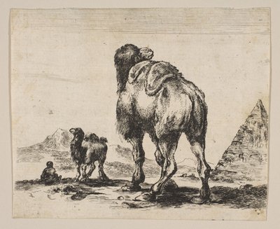 Deska 18: velbloud při pohledu zezadu s pyramidou vpravo, z Různá zvířata Di..., po roce 1641. od Unbekannt
