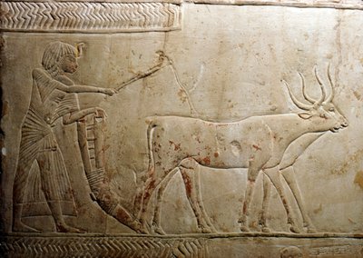 Orba z egyptské stély, 18. dynastie, 1332 př. n. l. – 1323 př. n. l. od Unbekannt