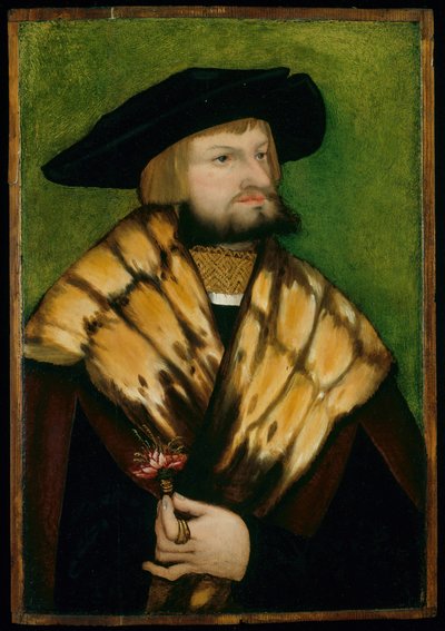 Portrét Leonharda Fuchse, 1525. od Unbekannt