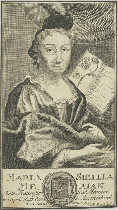 Portrét Marie Sibylly Merian 1647-1717, 1755. od Unbekannt