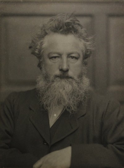 Portrét Williama Morrise 1834-1896, c. 1886. od Unbekannt