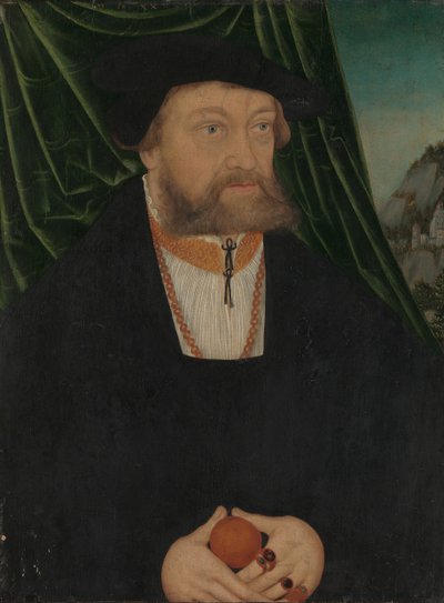Portrét muže, 1537. od Unbekannt