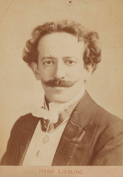 Portrét pianisty a skladatele Georga Lieblinga 1865-1946, c. 1900 od Unbekannt