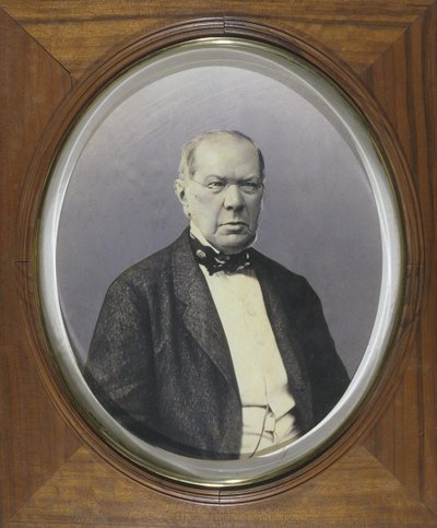 Portrét básníka knížete Petra A. Vjazemského 1792-1878, 60.-70. léta 19. století od Unbekannt