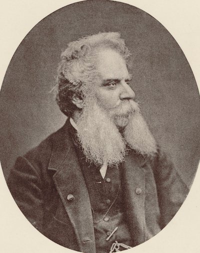 Portrét skladatele Federica Ricciho 1809-1877, c. 1870. od Unbekannt