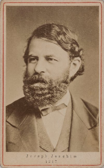 Portrét houslisty a skladatele Josepha Joachima 1831-1907, 70. léta 19. století. od Unbekannt