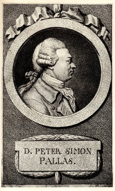 Portrét zoologa a botanika Petera Simona Pallase 1741-1811, počátek 19. stol. od Unbekannt