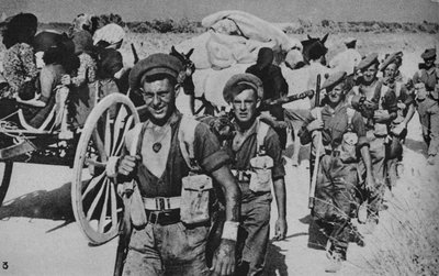Pressing on from the Bridgehead, 1943-44 od Unbekannt