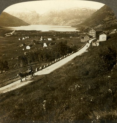 Pěkná vesnice s horskými hradbami a jezero Roldal, v drsném západním Norsku, c1905. od Unbekannt