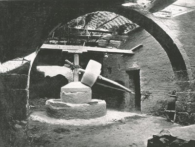 Primitivní kukuřičný mlýn, delta Nilu, Egypt, 1895. od Unbekannt