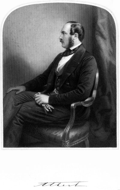 Princ Albert, choť královny Viktorie, c 1850-1859 od Unbekannt