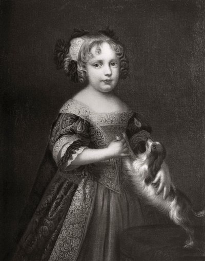Princezna pozdější královna Anna, c1670-1675 1906 od Unbekannt
