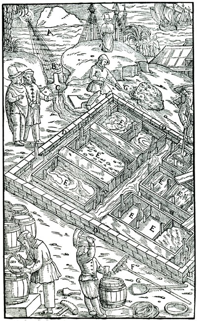 Výroba soli odpařováním mořské vody v solných pánvích, 1556 od Unbekannt