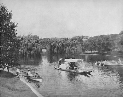 Veřejná zahrada a jezero, Boston, c1897. od Unbekannt