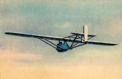 Žák v maskovaném cvičném kluzáku Zögling, 1932. od Unbekannt