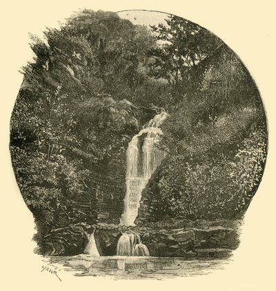 Pyrddin Falls, Vale of Neath, 1898. od Unbekannt