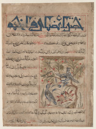 Vlastnosti Ringdoves recto, O výhodách křepelek verso..., c. 1300. od Unbekannt