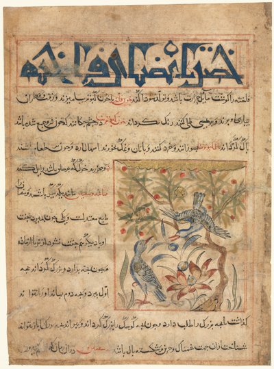 Vlastnosti Ringdoves recto od Manafi al-Hayawan O užitečnosti zvířat, c. 1300. od Unbekannt