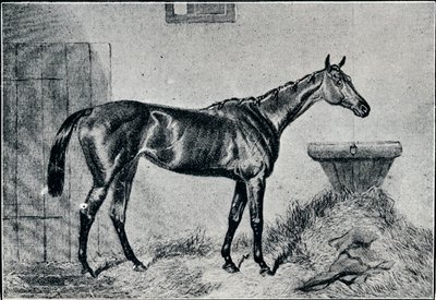 Queen Bertha, 19th century, 1911 od Unbekannt