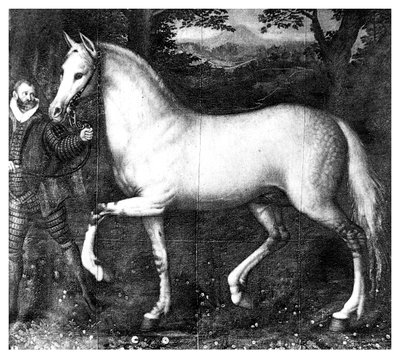 Královna Alžběta je kůň, 1896 od Unbekannt