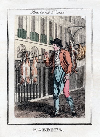 Rabbits, Portland Place, Londýn, 1805 od Unbekannt