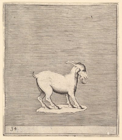 Ram, publikoval ca. 1599-1622. od Unbekannt