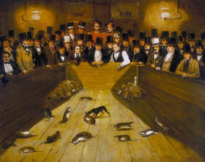 „Odlov krys v krčmě Blue Anchor Tavern, Bunhill Row, Finsbury“, c1850 od Unbekannt