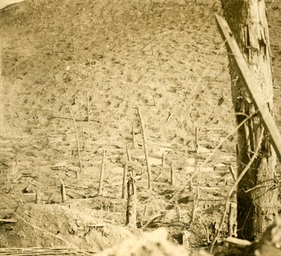 Ravine v Les Éparges, severní Francie, c1914-c1918. od Unbekannt